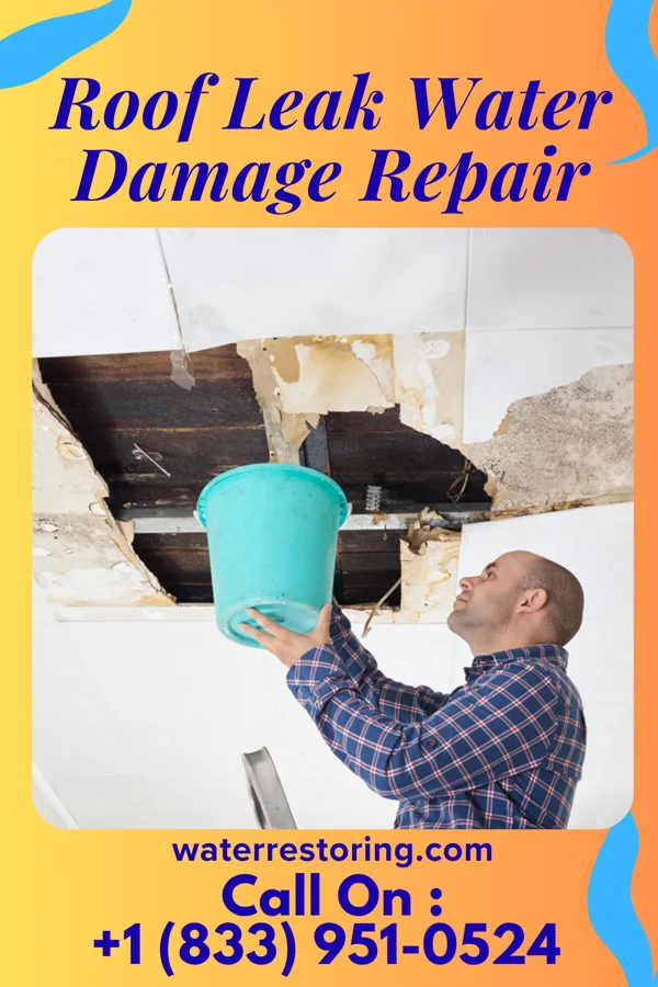 Roof Leak Water Damage Repair in Hamlin, KS
