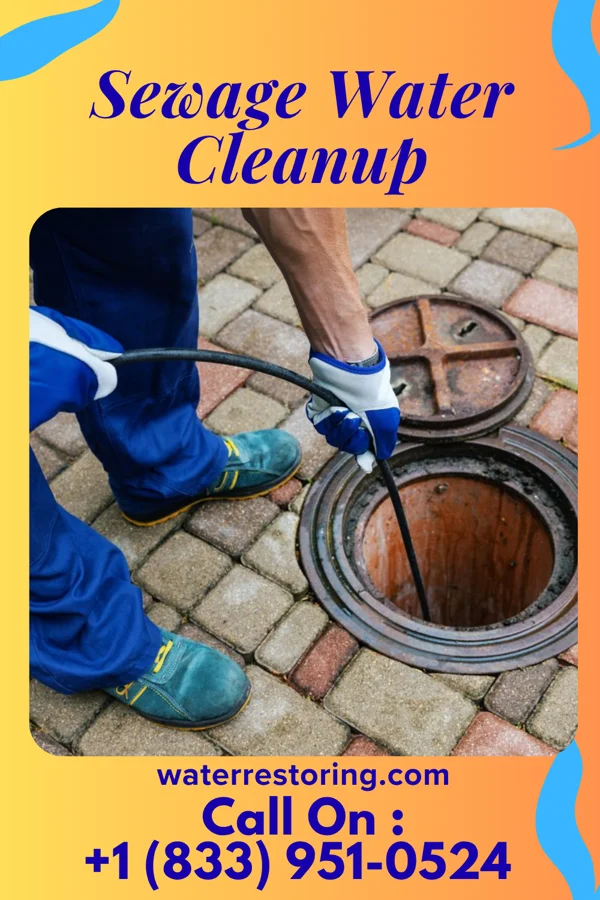Sewage Water Cleanup in Hamlin, KS