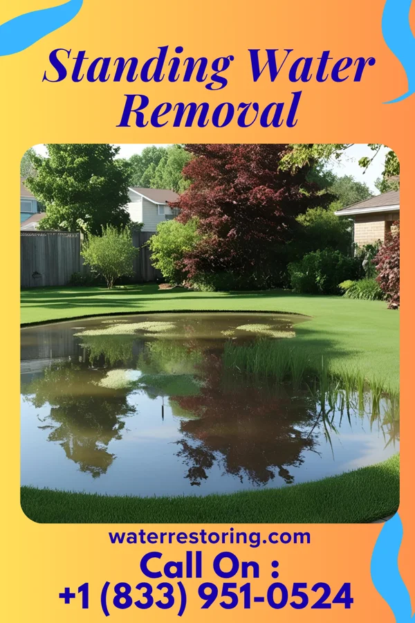 Standing Water Removal in Hamlin, KS